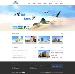 神州互动与望洲集团网站建设合作案例解析