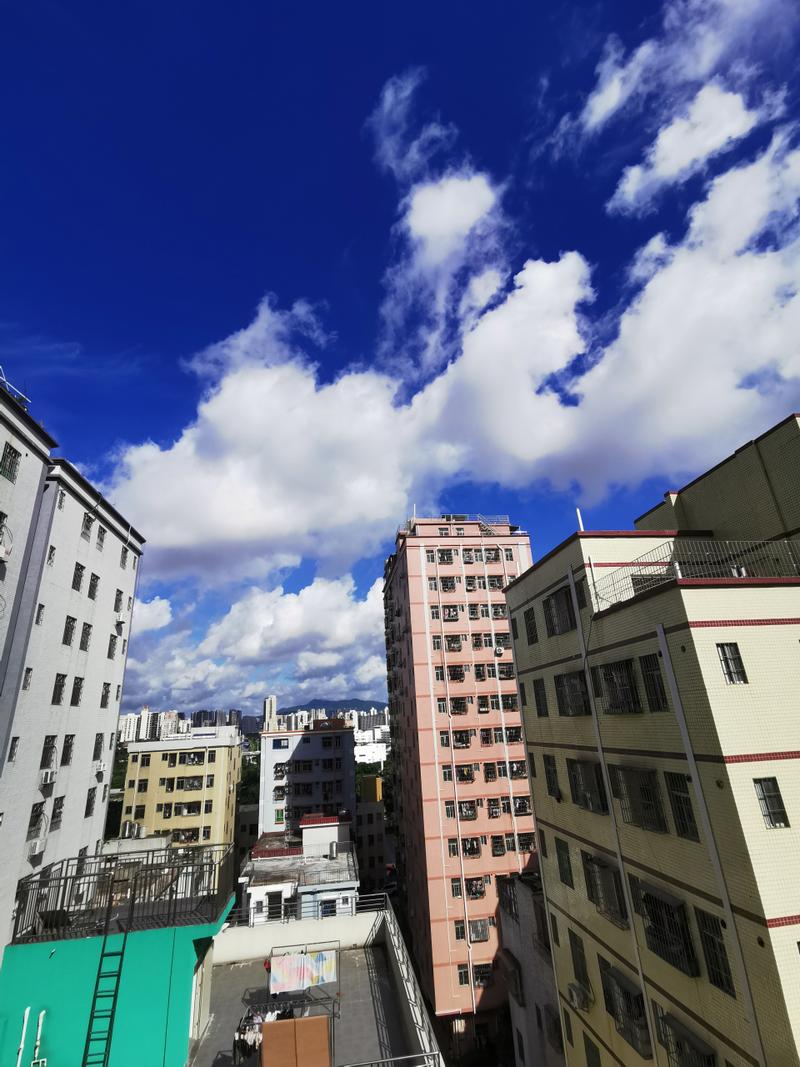 深圳网站建设# #手机网站建设#  一,网站加入该项功能的原因 二